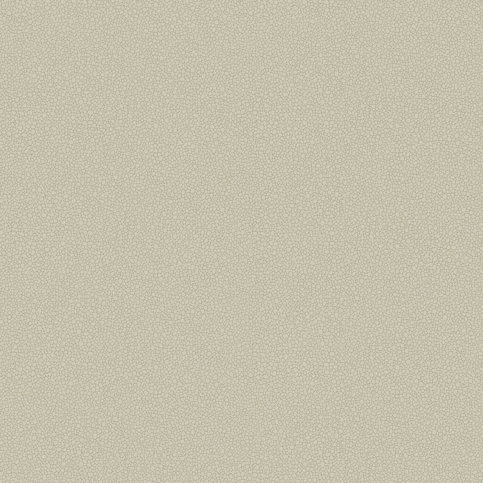 Cole & Son Pebble wallpaper — Safari