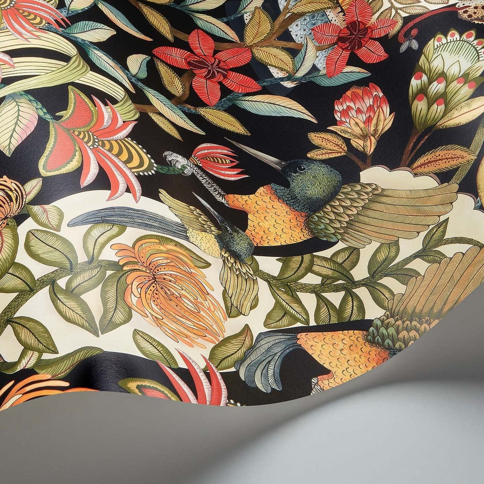 Cole & Son Protea Garden wallpaper — Olive & Rouge on Black detail
