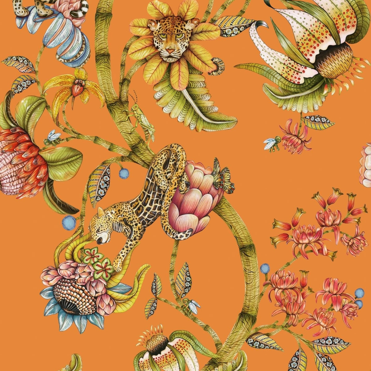 Protea Panthera wallpaper in Clementine by Cole & Son — design detail