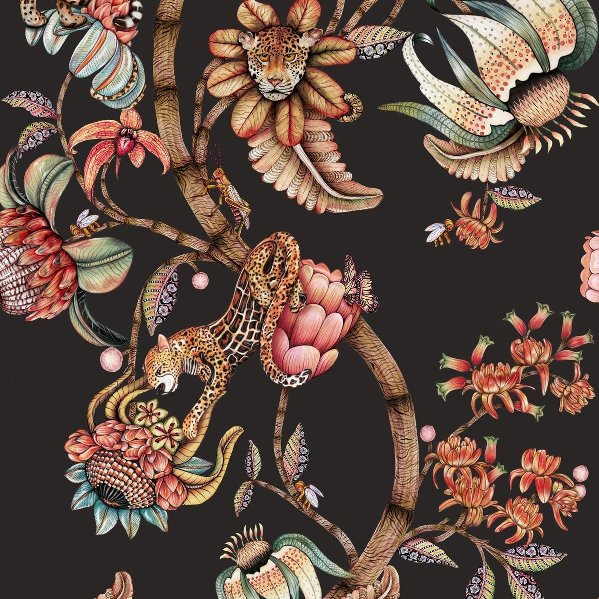 Protea Panthera wallpaper in Onyx by Cole & Son — design detail