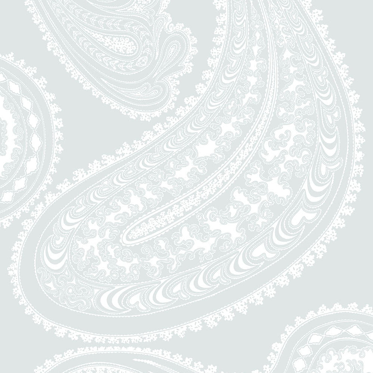 Rajapur wallpaper in Chalk on Powder Blue by Cole & Son — design detail