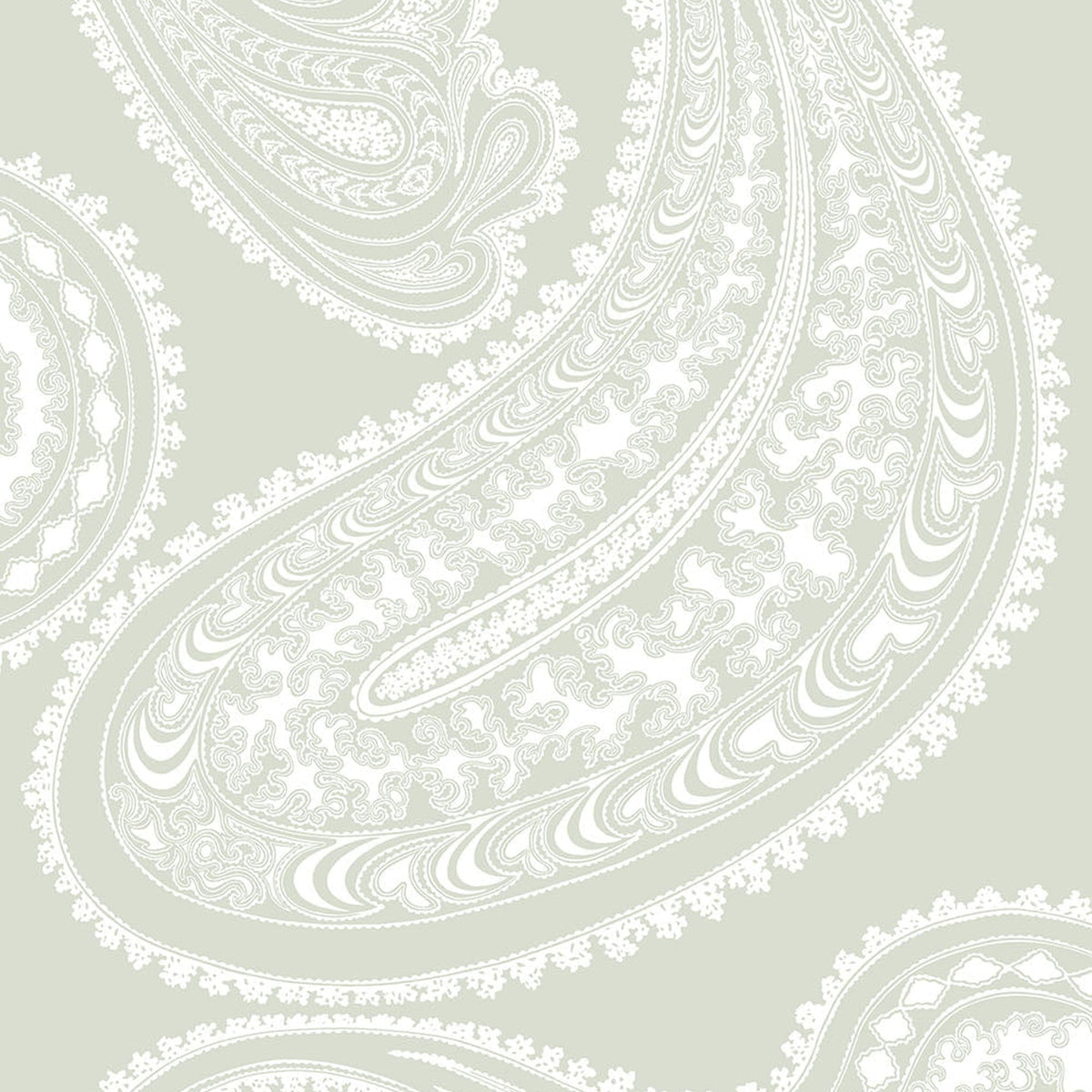 Rajapur wallpaper in Chalk on Soft Olive by Cole & Son — design detail
