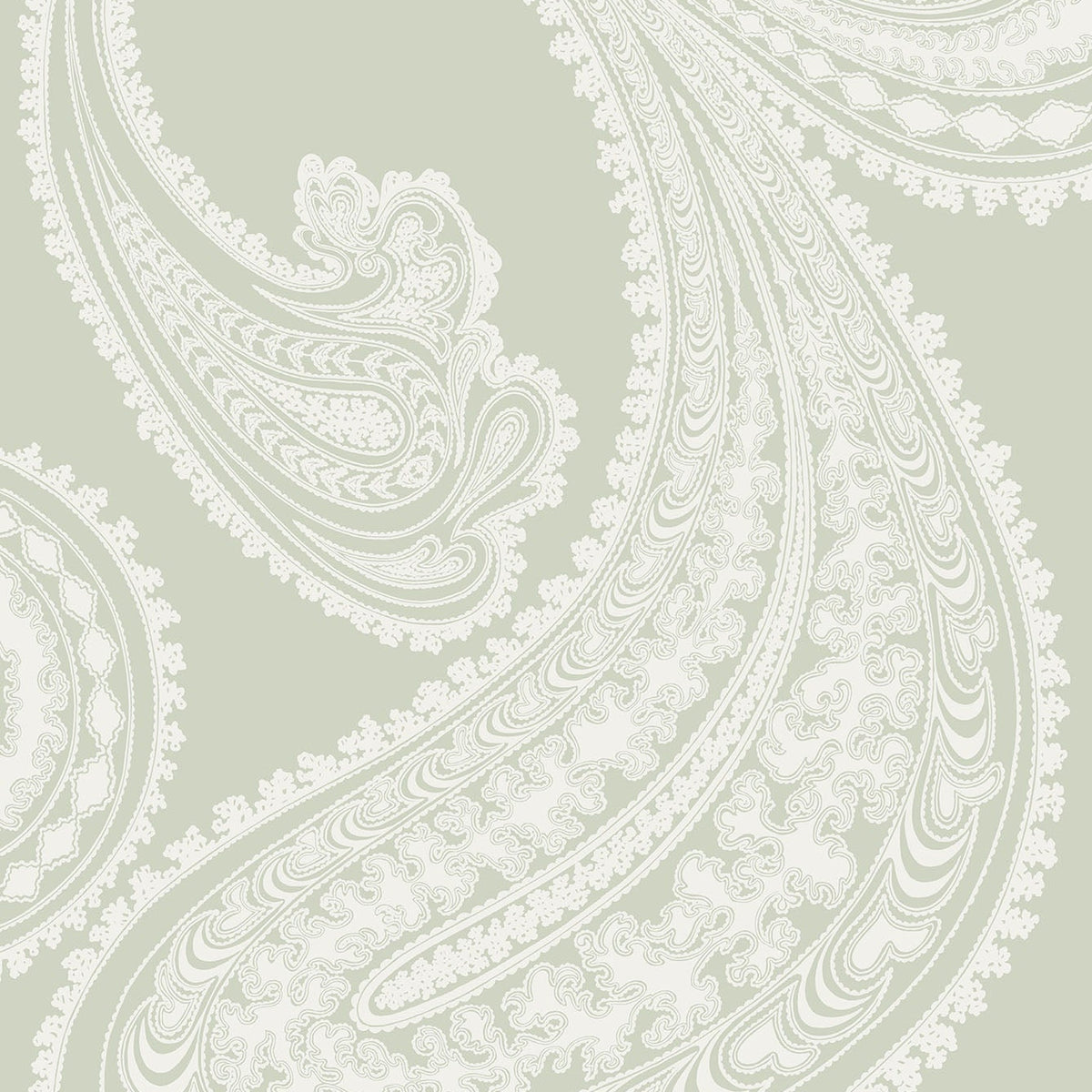 Rajapur wallpaper in White on Soft Olive by Cole & Son — design detail