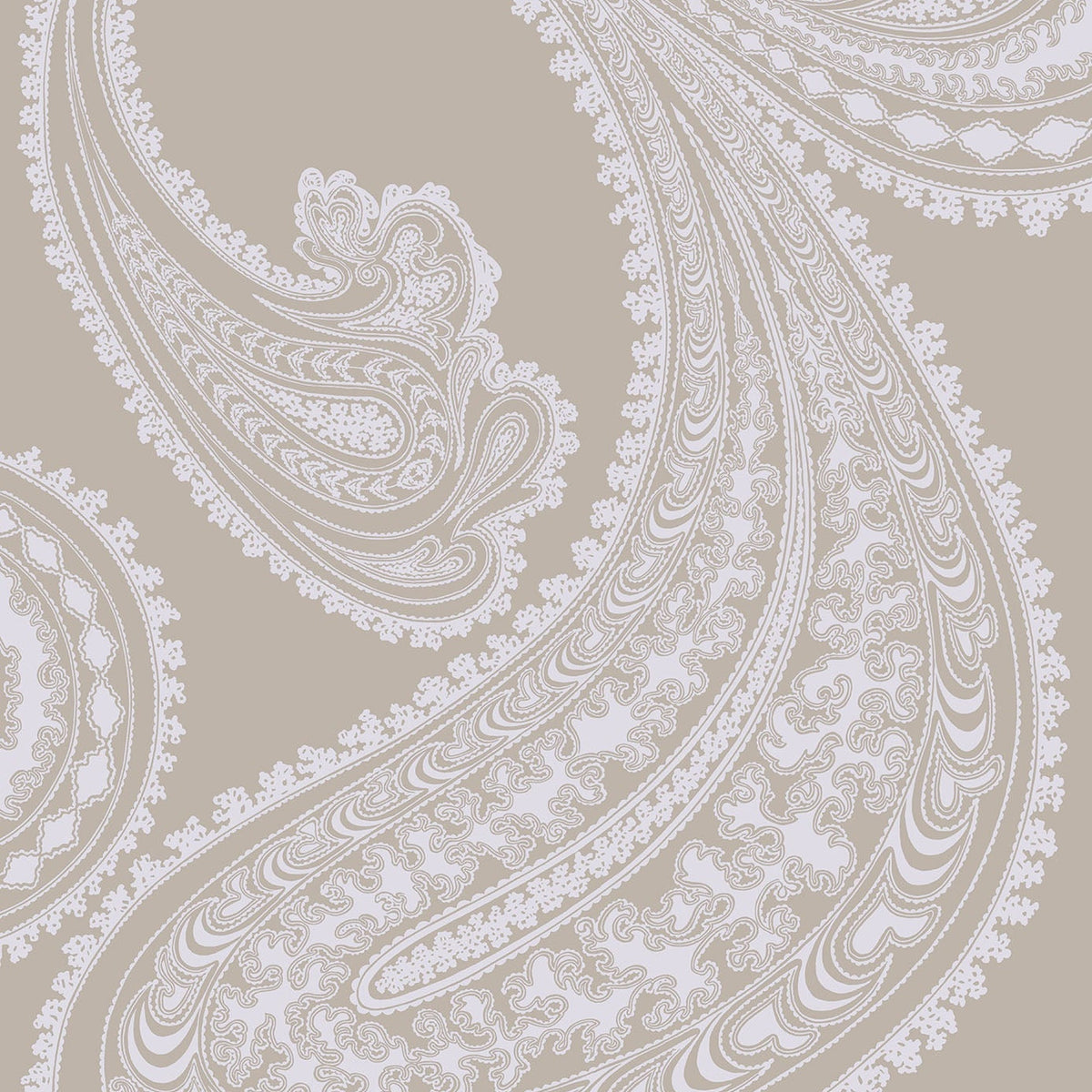 Rajapur wallpaper in Silver Birch on Taupe by Cole & Son — design detail