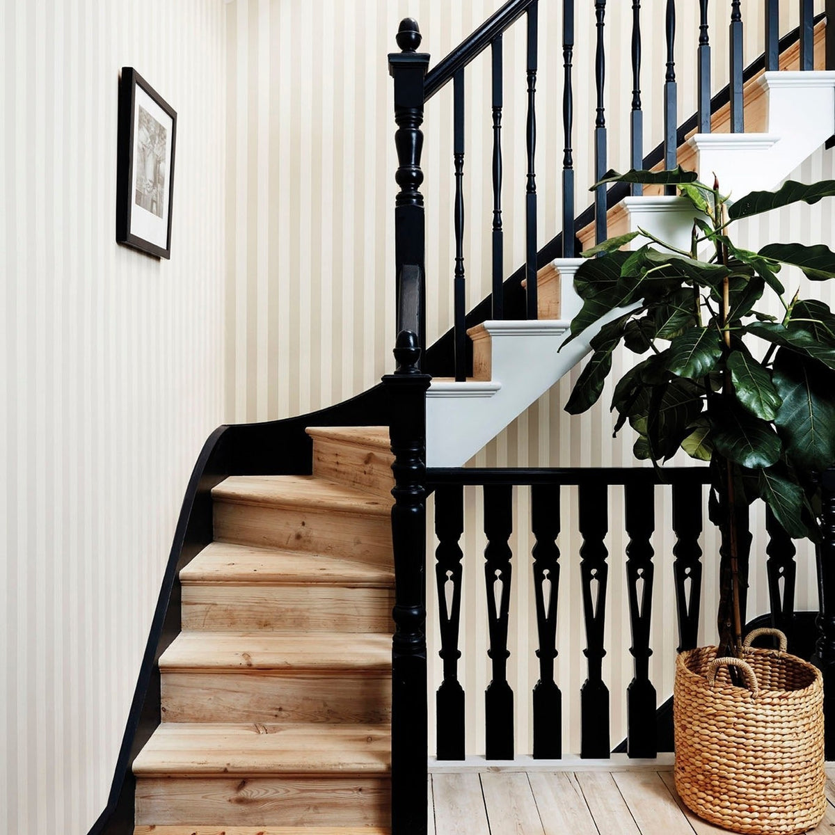 Regatta Stripe wallpaper in Stone & Parchment by Cole & Son — room setting