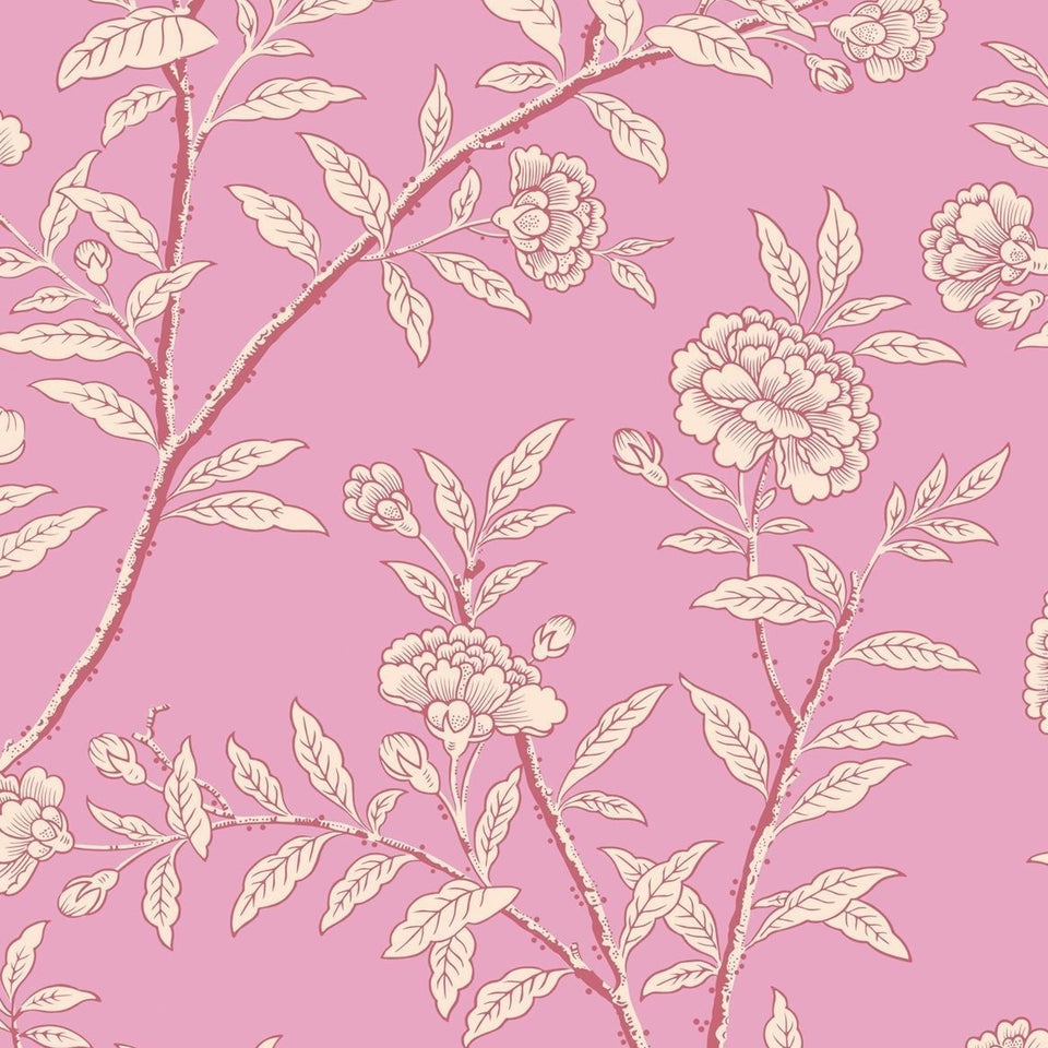 Roseberry wallpaper in Fuchsia by Cole & Son — design detail