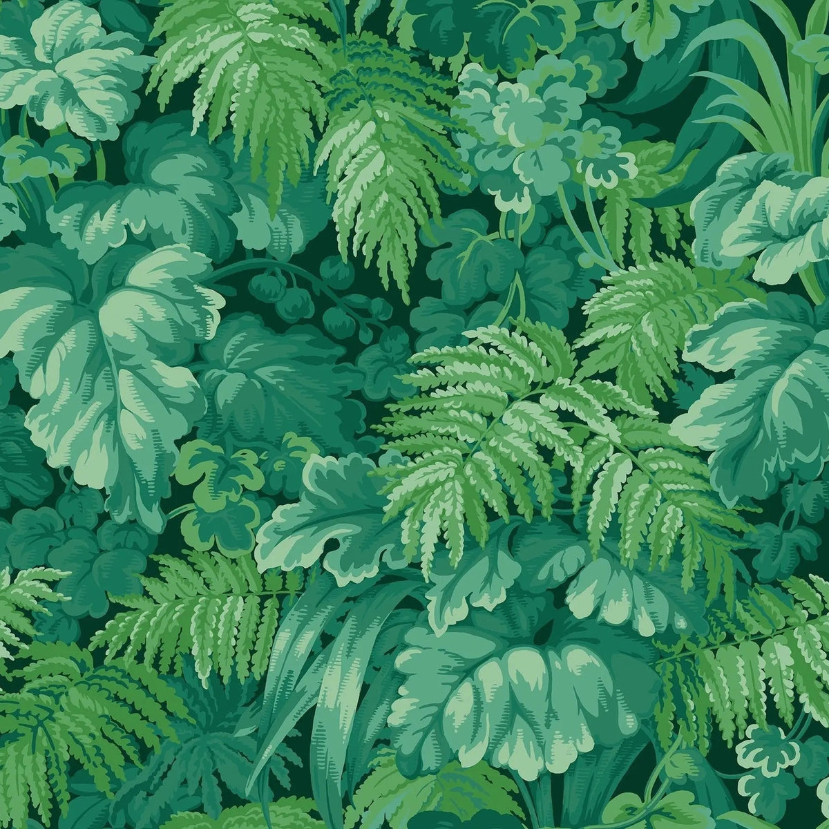 Royal Fernery wallpaper by Cole & Son in Forest Green, design detail