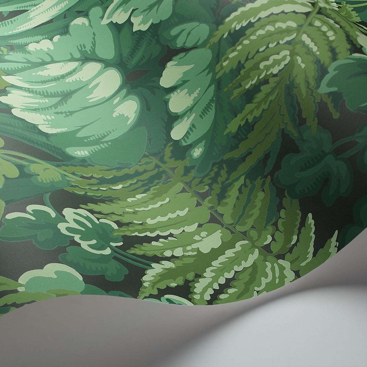 Royal Fernery wallpaper by Cole & Son in Forest Green, curved paper detail