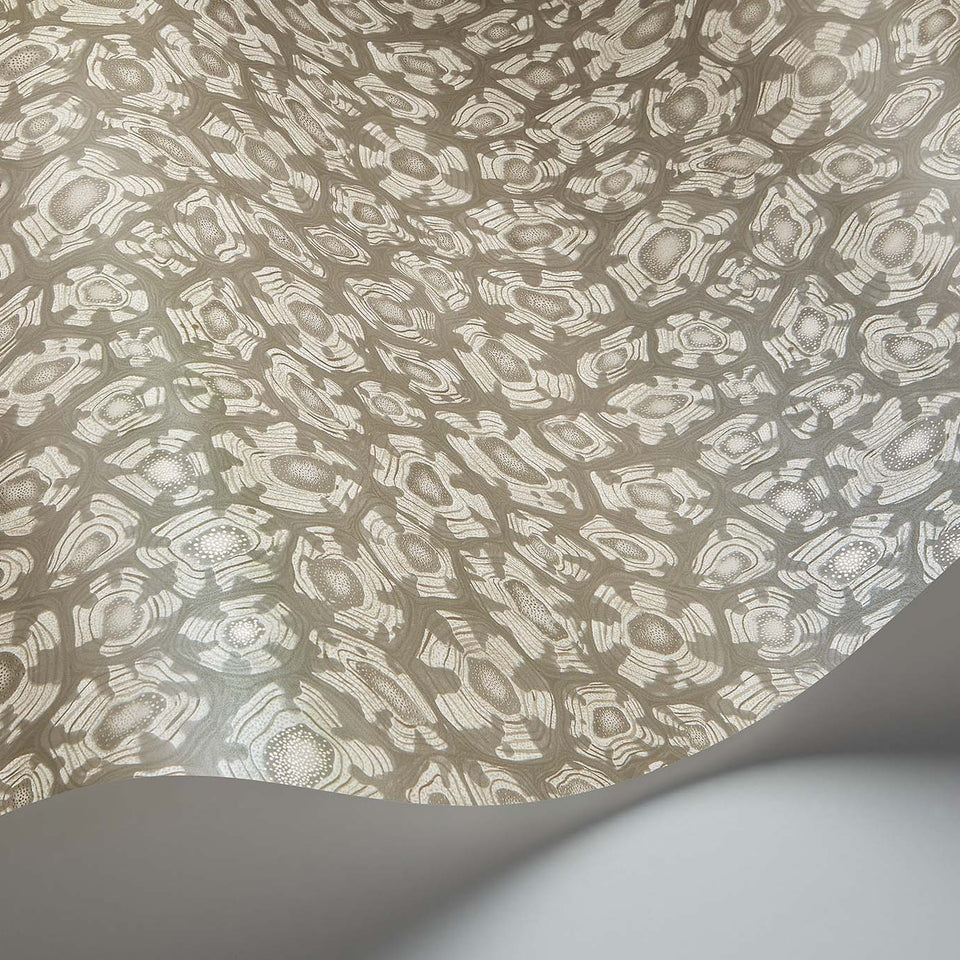 Savanna Shell wallpaper by Cole & Son in Shell Mica, Taupe & Metallic Gilver, curved paper detail