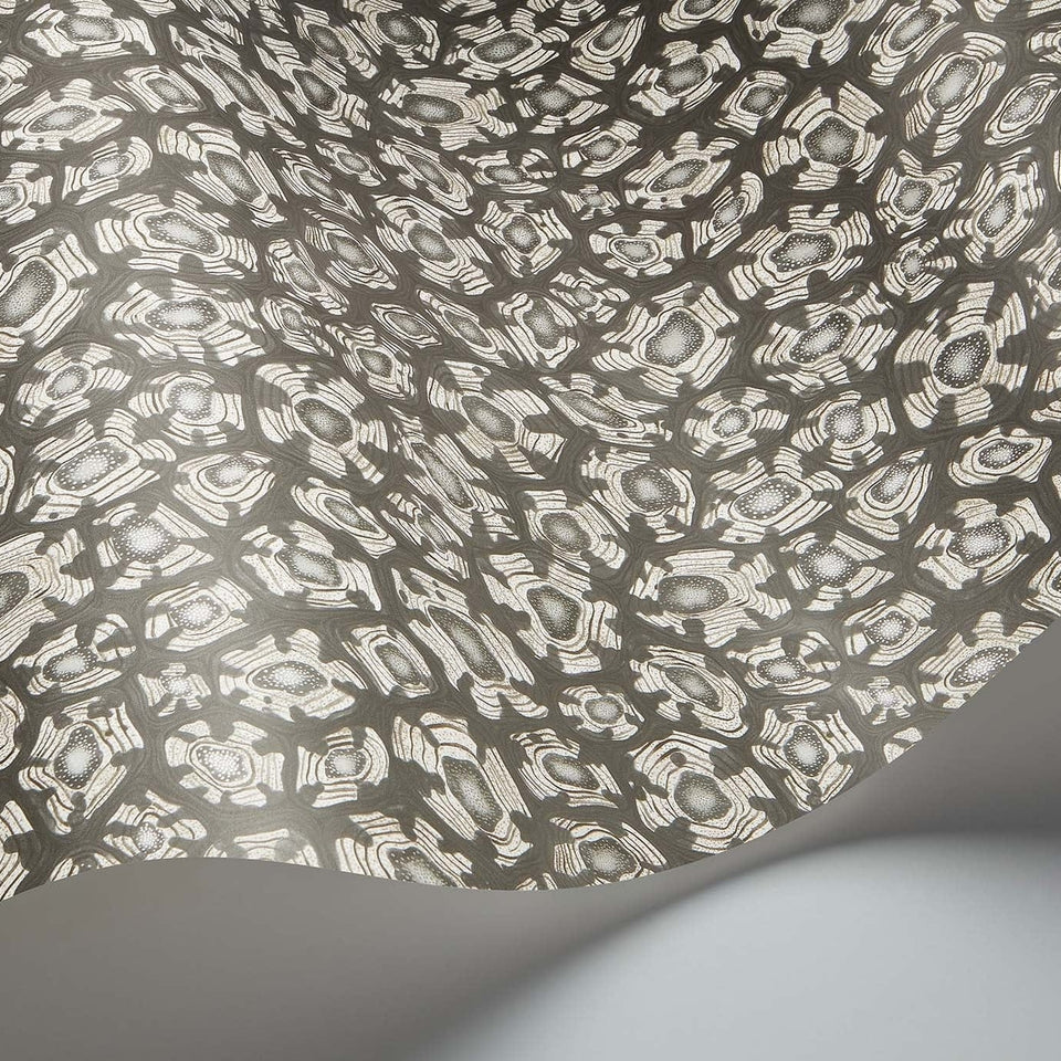 Savanna Shell wallpaper by Cole & Son in Soot & Snow & Metallic Silver, curved paper detail