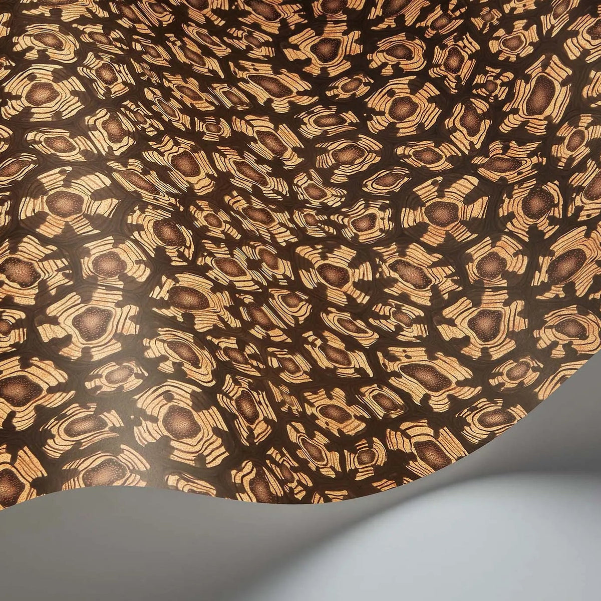 Savanna Shell wallpaper by Cole & Son in Ochre, Soot & Orange, curved paper detail