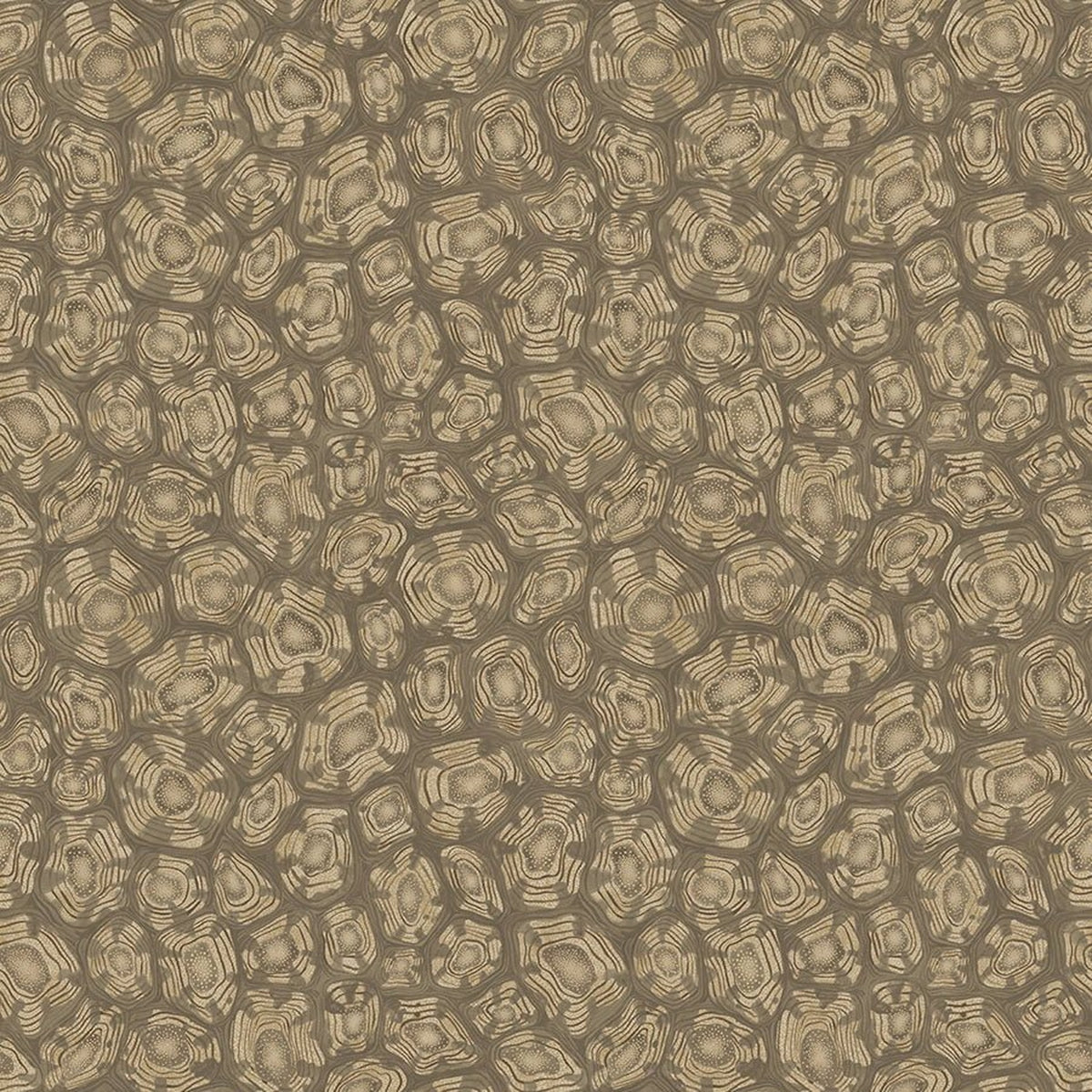 Savanna Shell wallpaper by Cole & Son in Metallic Gilver, Cedar & Metallic Gold, design detail