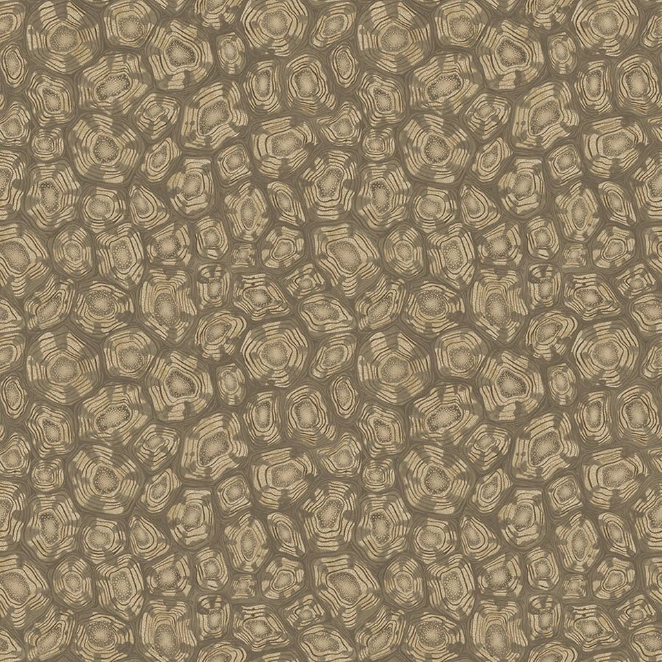 Savanna Shell wallpaper by Cole & Son in Metallic Gilver, Cedar & Metallic Gold, design detail
