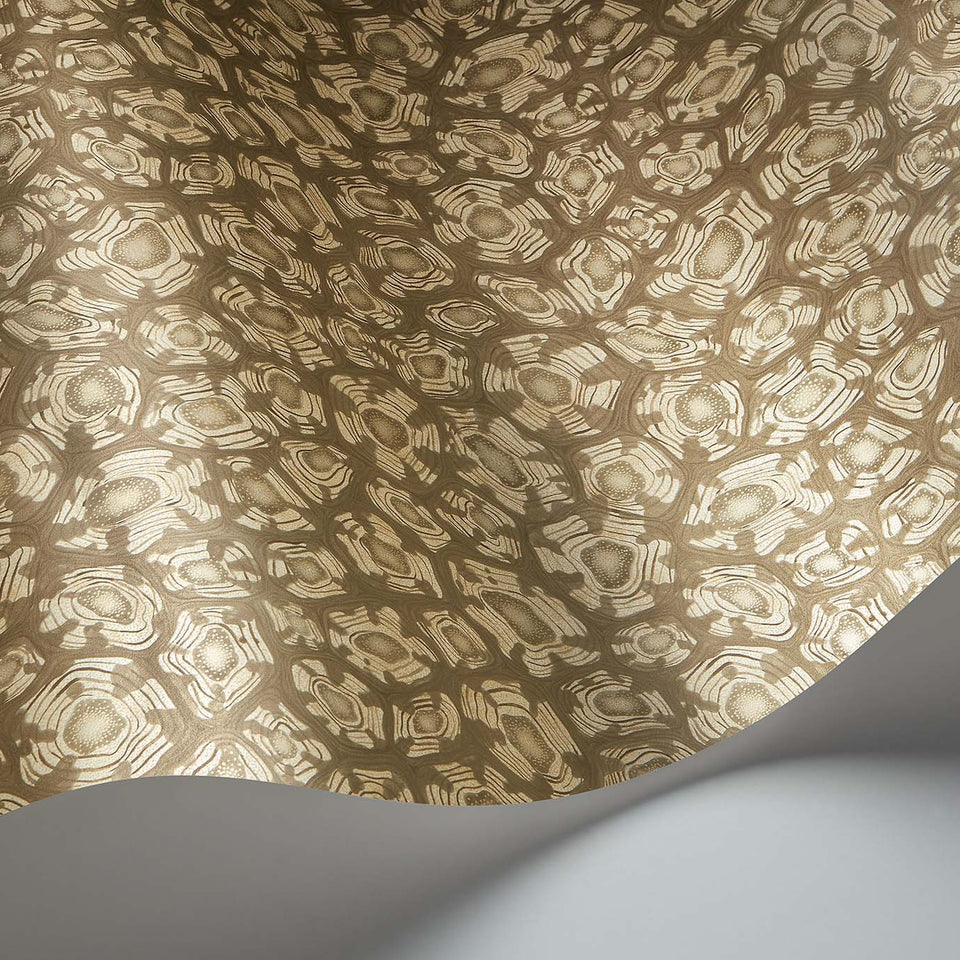 Savanna Shell wallpaper by Cole & Son in Metallic Gilver, Cedar & Metallic Gold, curved paper detail