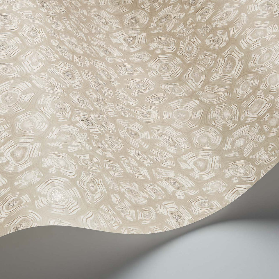 Savanna Shell wallpaper by Cole & Son in Parchment, Linen & Metallic Gilver, curved paper detail
