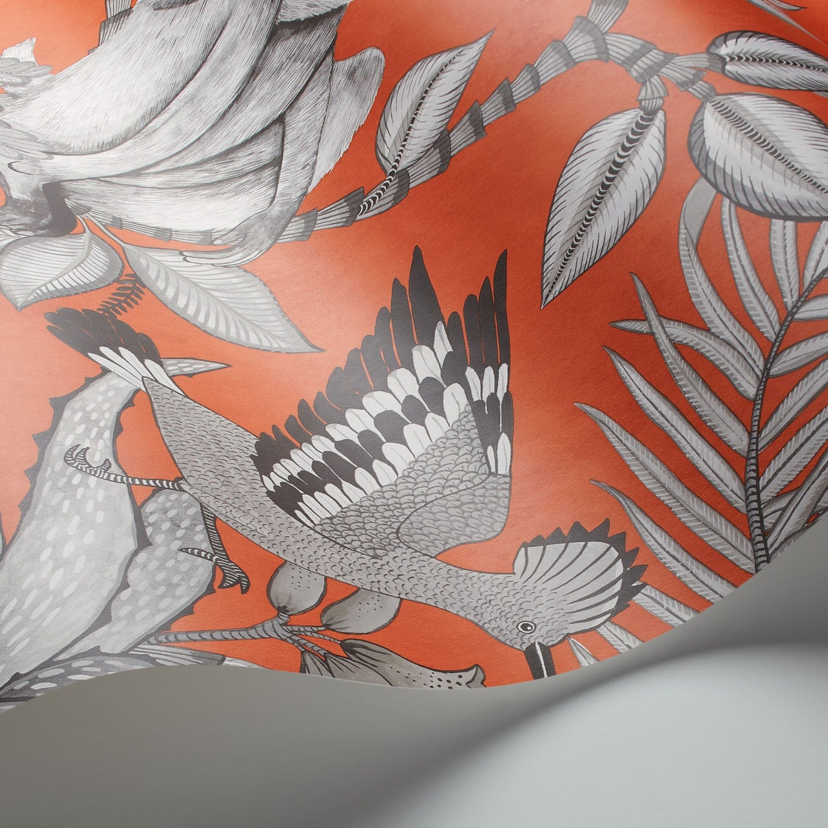 Savuti wallpaper by Cole & Son in Soot on Tangerine, curved paper detail