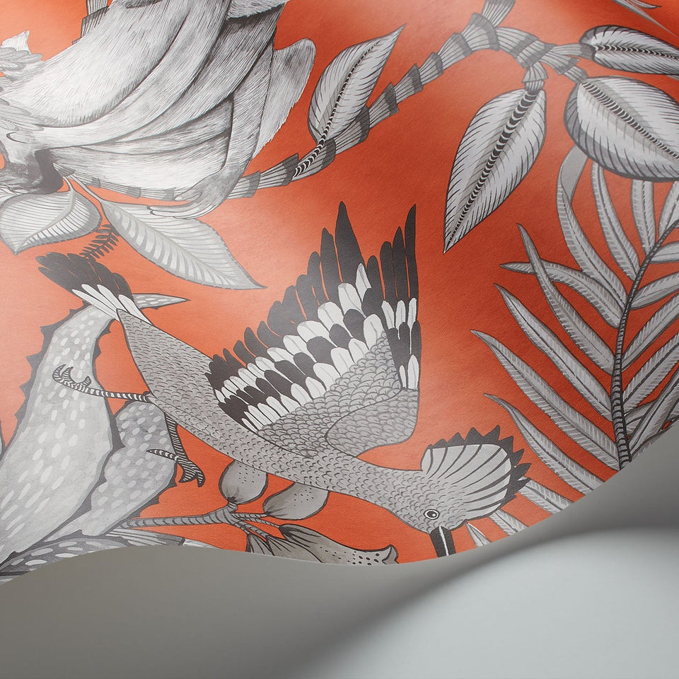 Savuti wallpaper by Cole & Son in Soot on Tangerine, curved paper detail