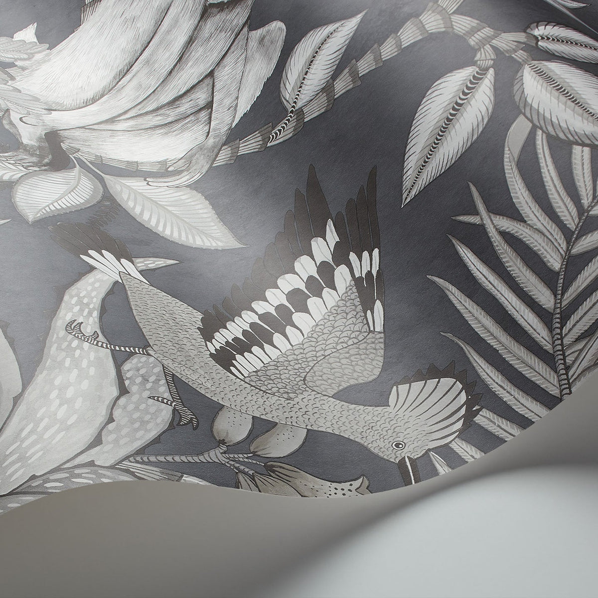 Savuti wallpaper by Cole & Son in Soot on Charcoal, curved paper detail