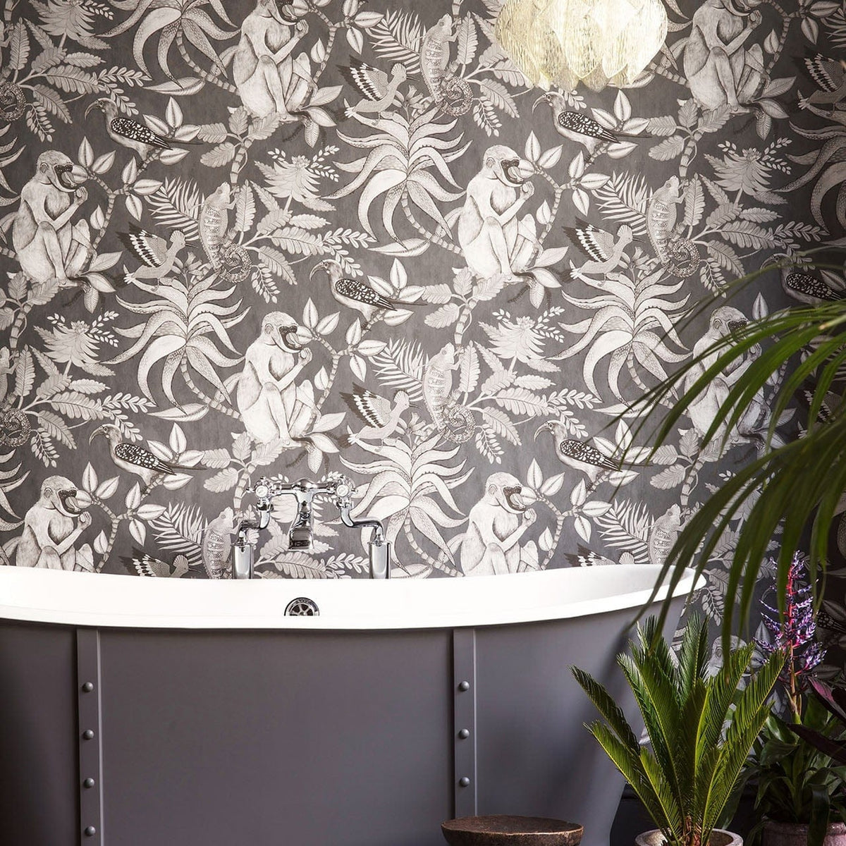 Savuti wallpaper by Cole & Son in Soot on Charcoal, room setting