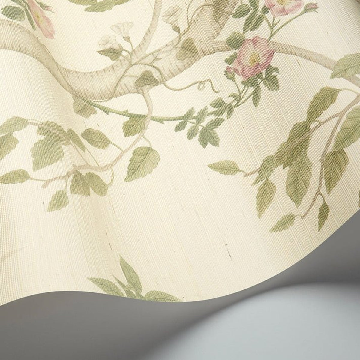 Seasonal Woods in Oat Natural Grasscloth by Cole & Son, 120/6019G, woven surface detail