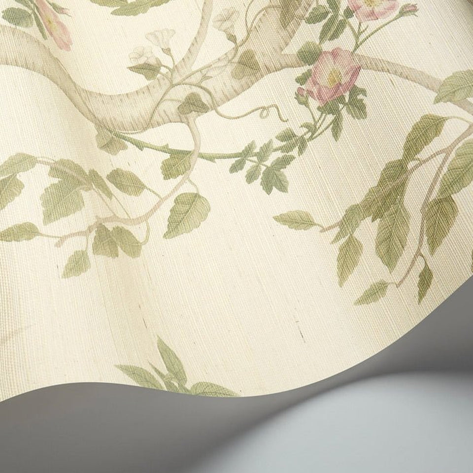 Seasonal Woods in Oat Natural Grasscloth by Cole & Son, 120/6019G, woven surface detail