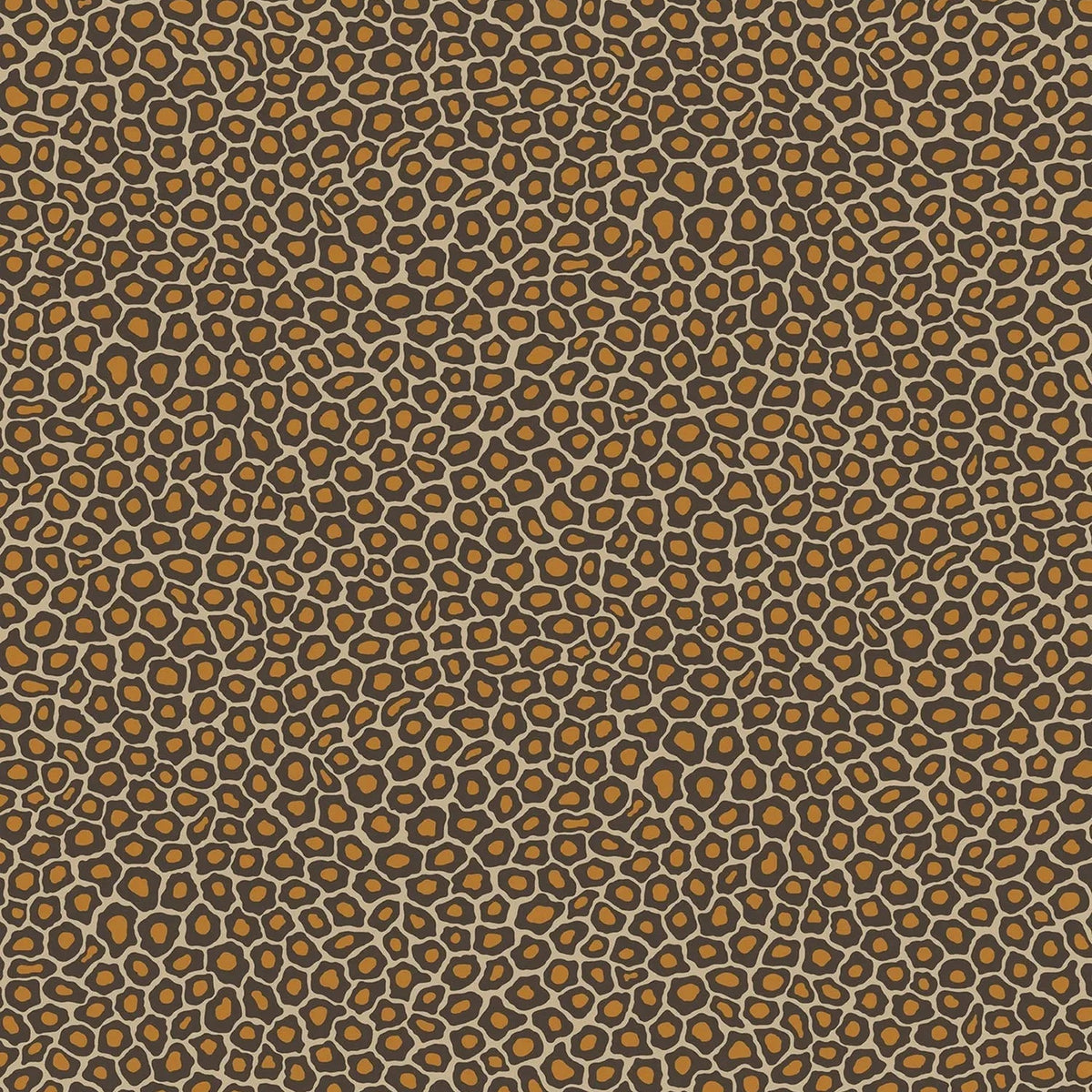 Senzo Spot by Cole & Son in Soot & Metallic Gold on Cream, pattern
