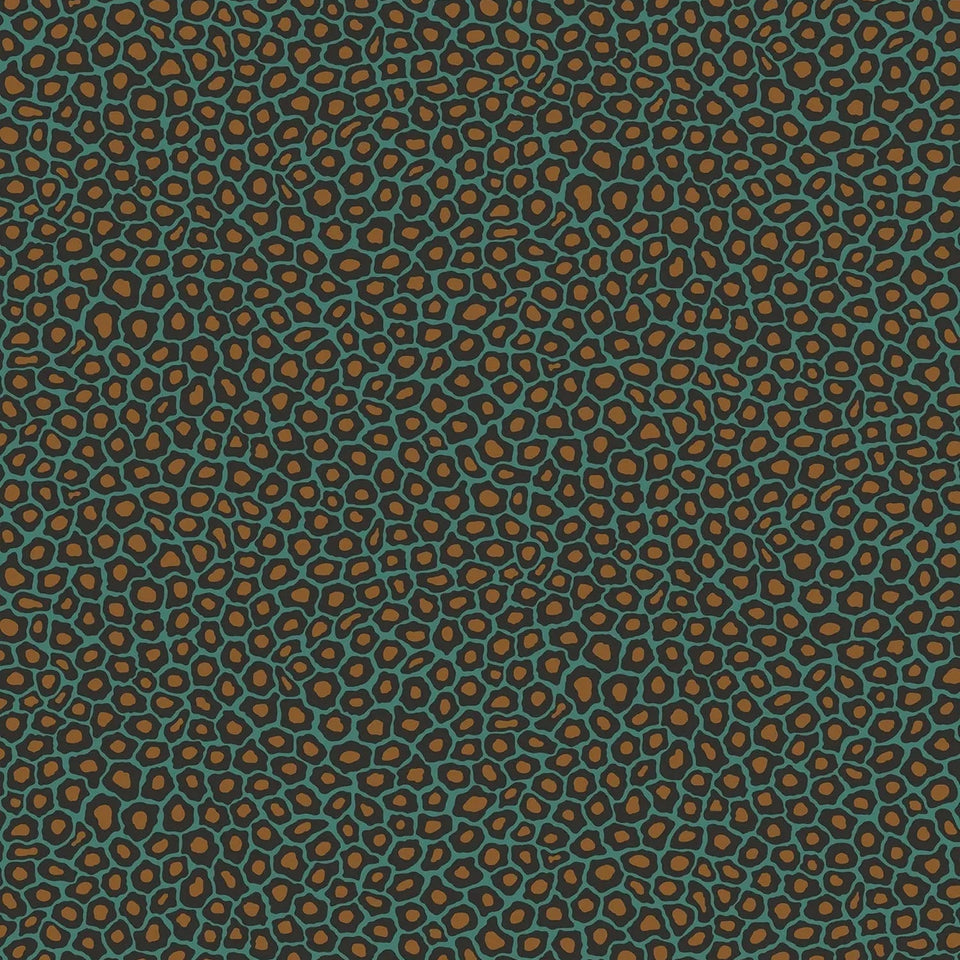 Senzo Spot by Cole & Son in Charcoal & Metallic Gold on Teal, pattern