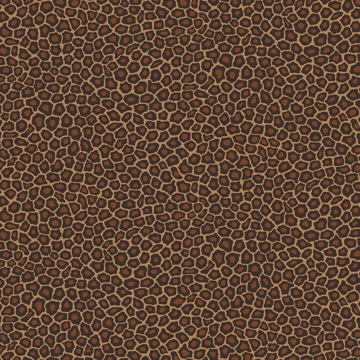Senzo Spot by Cole & Son in Charcoal & Ginger, pattern