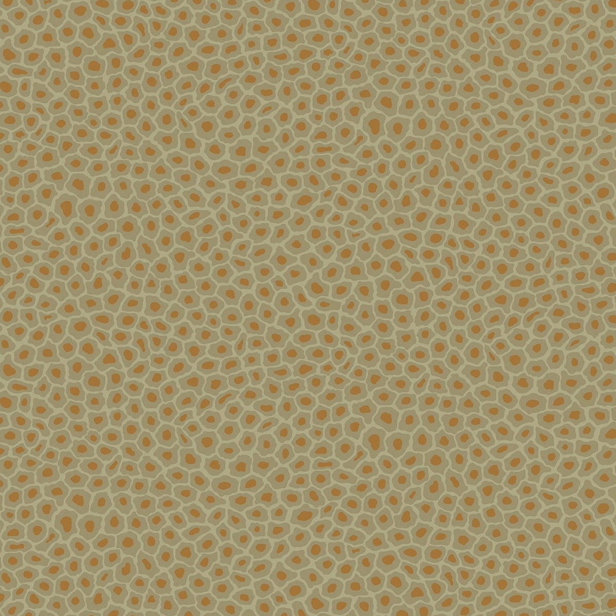 Senzo Spot by Cole & Son in Old Olive & Metallic Bronze, pattern