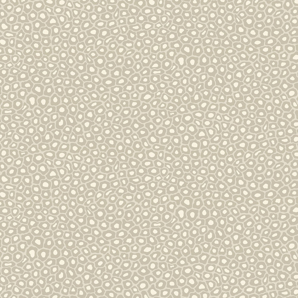 Senzo Spot by Cole & Son in Stone & Chalk, pattern