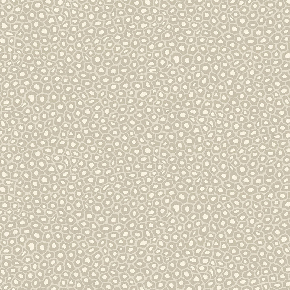 Senzo Spot by Cole & Son in Stone & Chalk, pattern