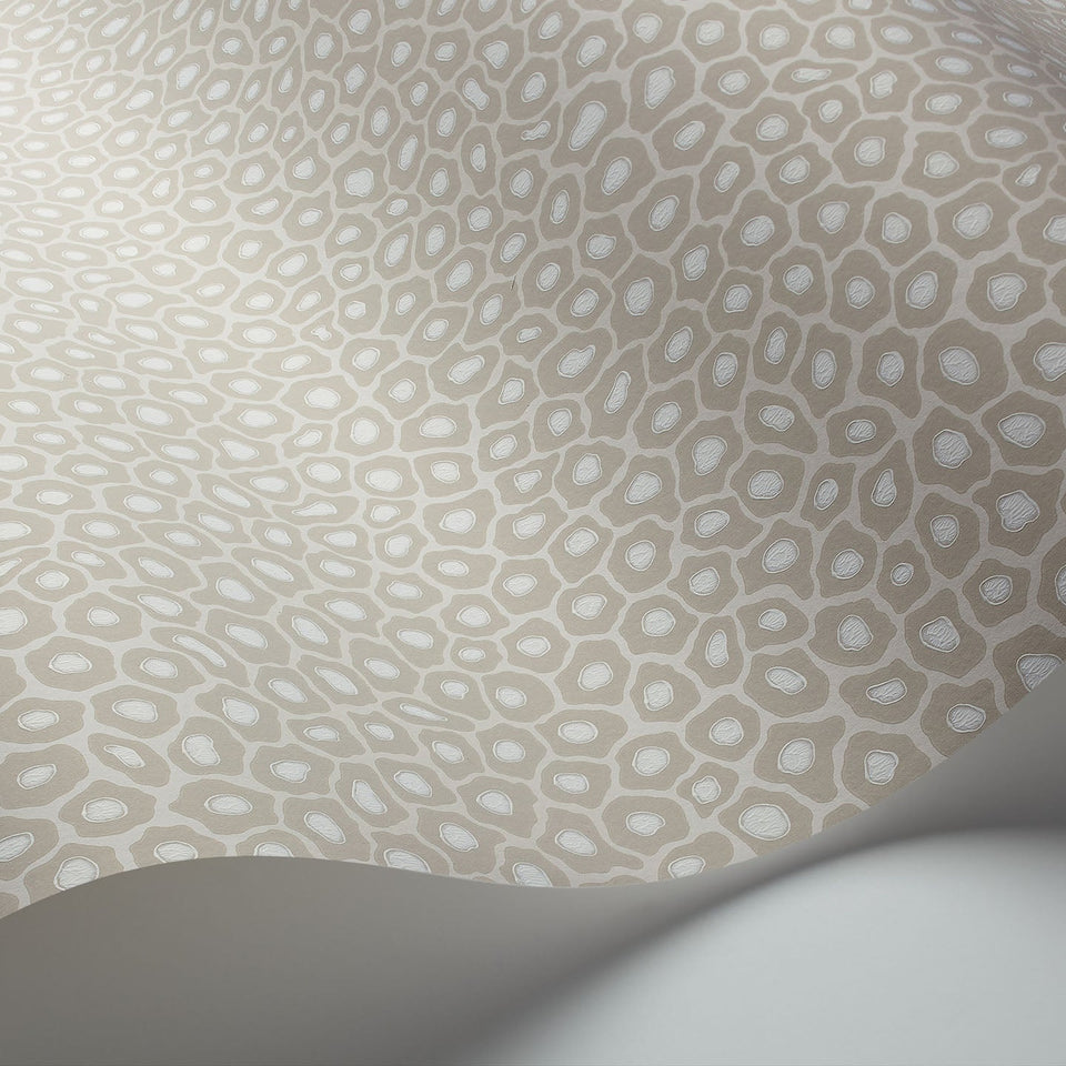 Senzo Spot by Cole & Son in Stone & Chalk, surface detail