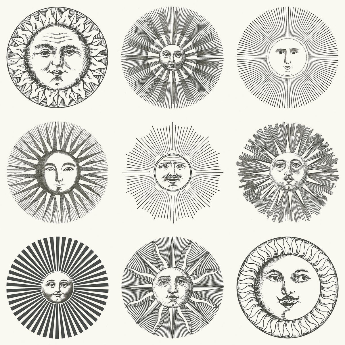 Soli wallpaper by Cole & Son in Black & White, pattern
