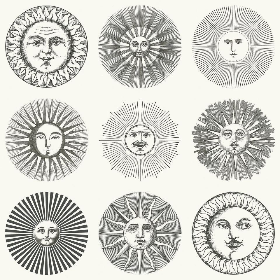 Soli wallpaper by Cole & Son in Black & White, pattern
