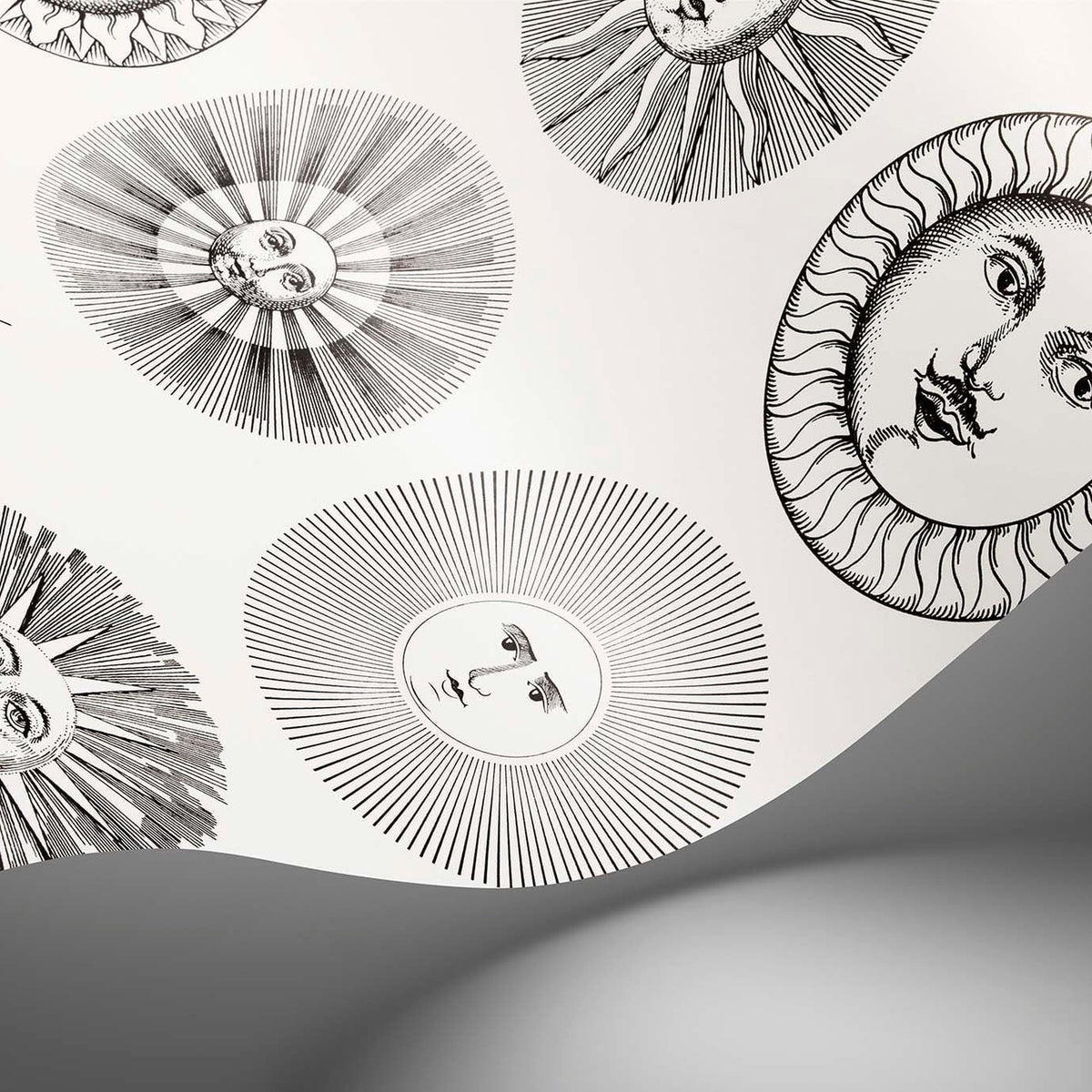 Soli wallpaper by Cole & Son in Black & White, surface detail