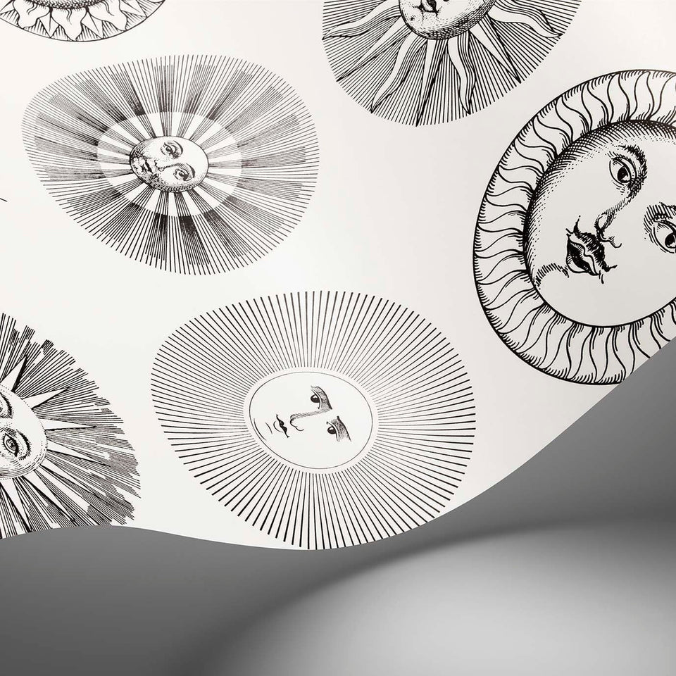 Soli wallpaper by Cole & Son in Black & White, surface detail