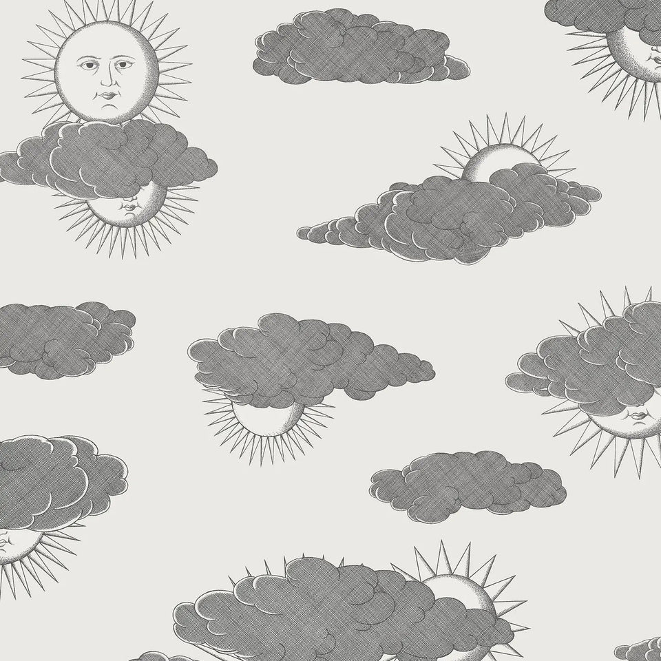 Soli e Nuvole wallpaper by Cole & Son in Black & White, pattern