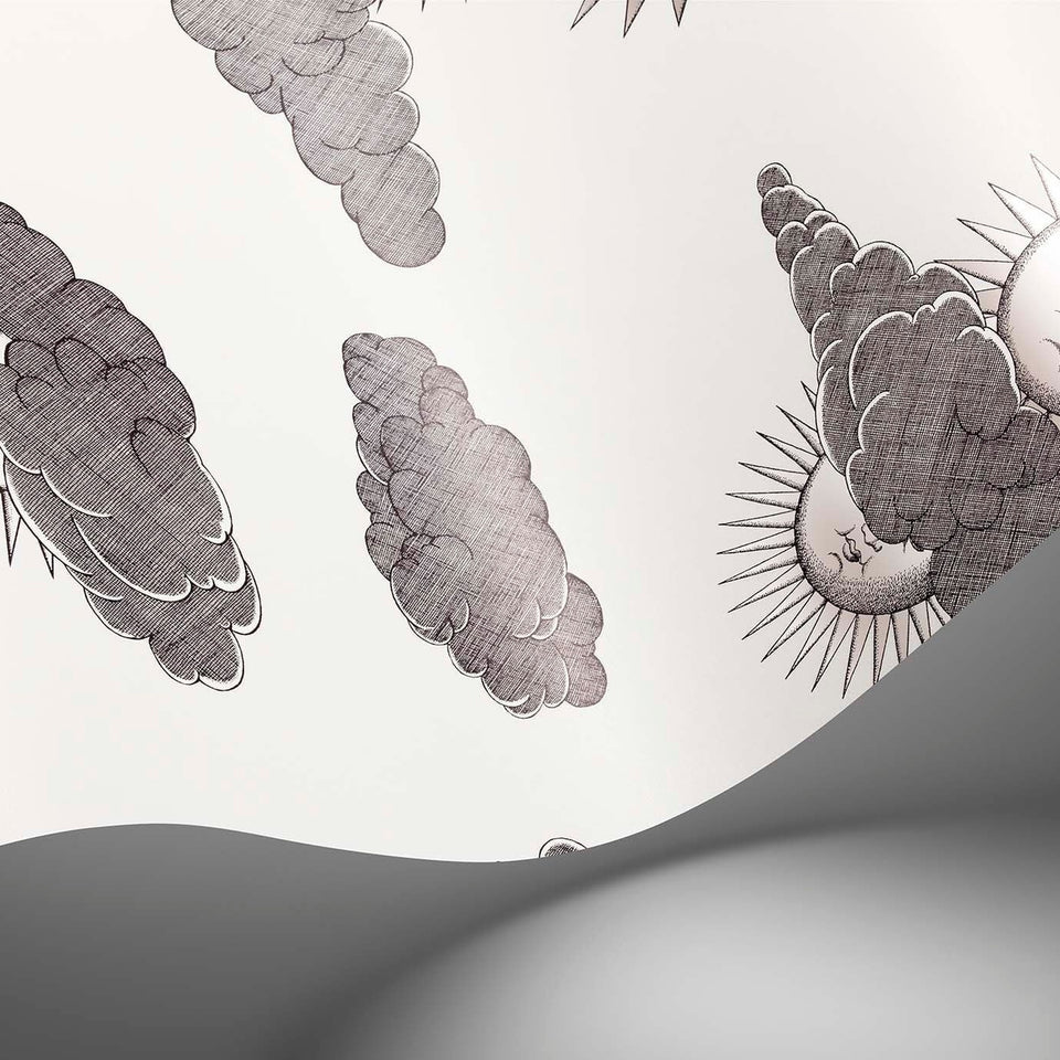 Soli e Nuvole wallpaper by Cole & Son in Black & White, surface detail