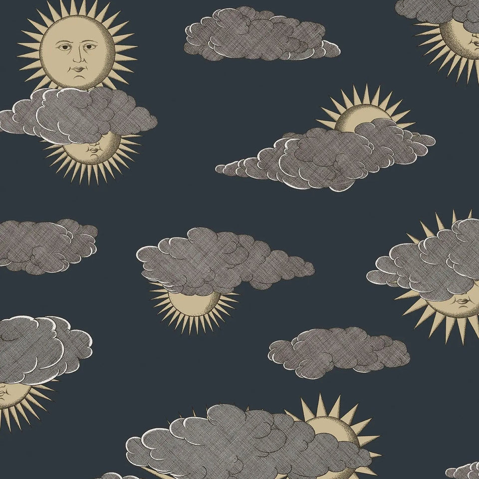 Soli e Nuvole wallpaper by Cole & Son in Gold & Silver on Charcoal, pattern