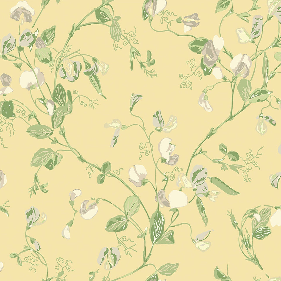 Sweet Pea wallpaper by Cole & Son in Grey & Lime on Yellow, pattern