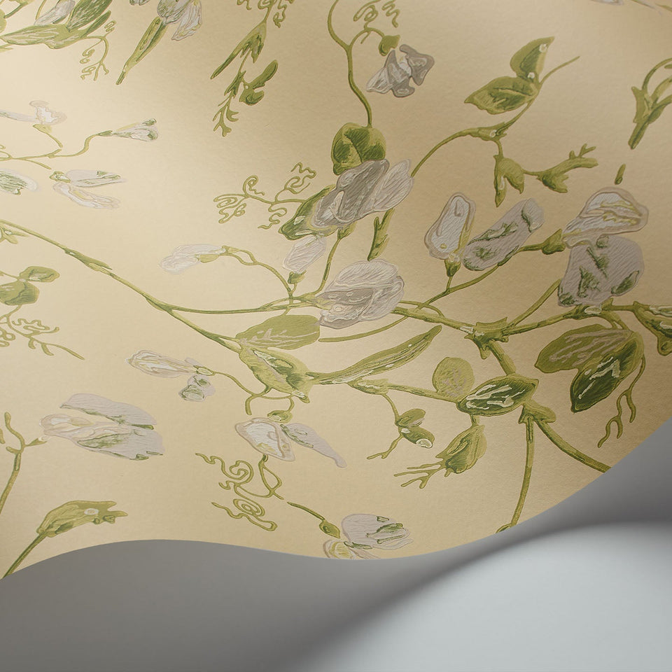 Sweet Pea wallpaper by Cole & Son in Grey & Lime on Yellow, surface detail