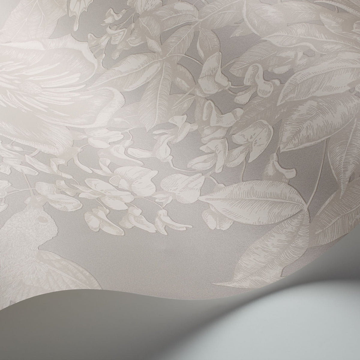 Tivoli wallpaper by Cole & Son in White on Grey, surface detail