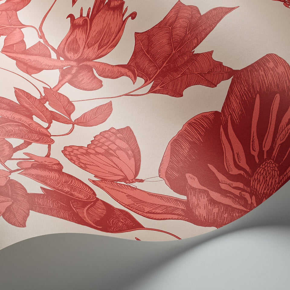 Tivoli wallpaper by Cole & Son in Red on Cream, surface detail