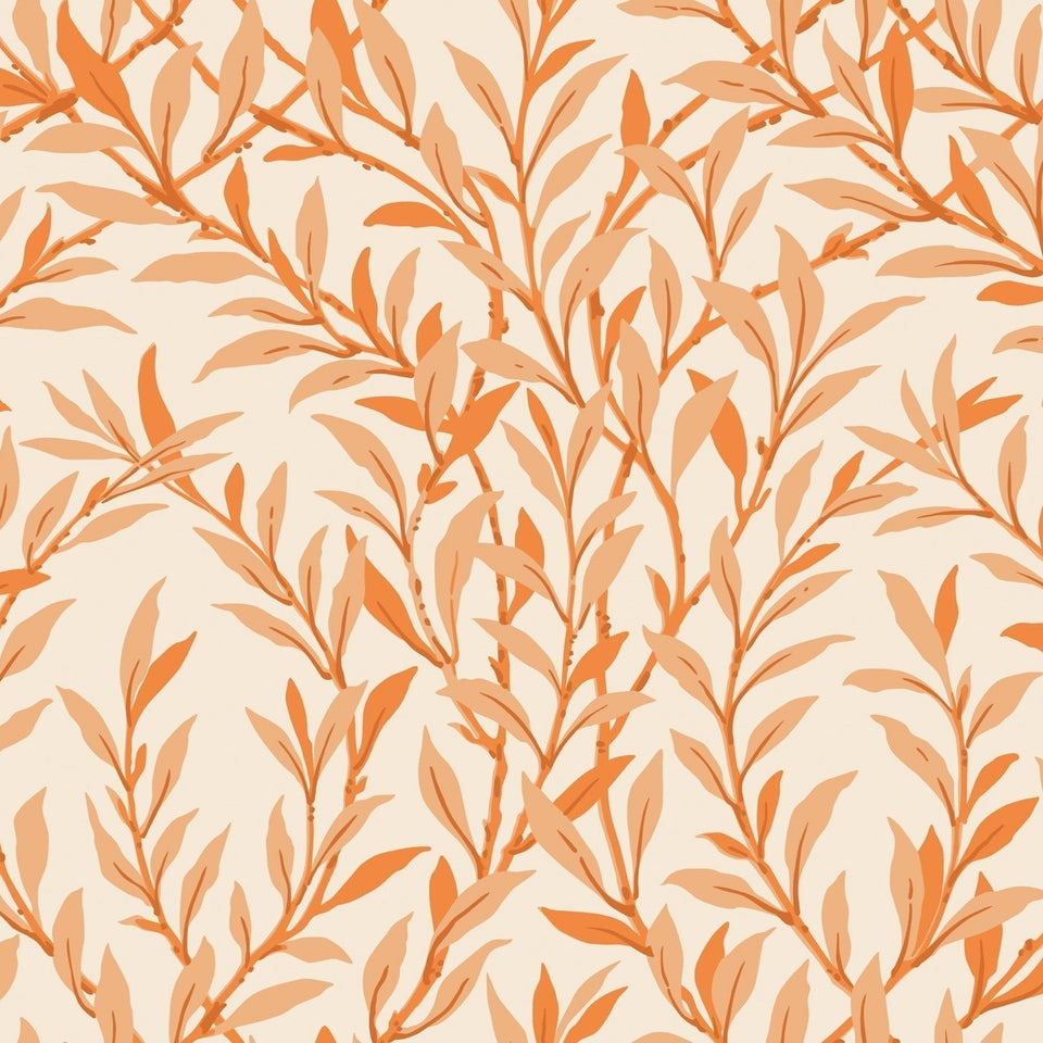 Cole & Son Willow Branch wallpaper in Tangerine on Cream