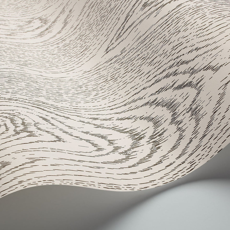 Cole & Son Wood Grain wallpaper in Black & White — wallpaper detail