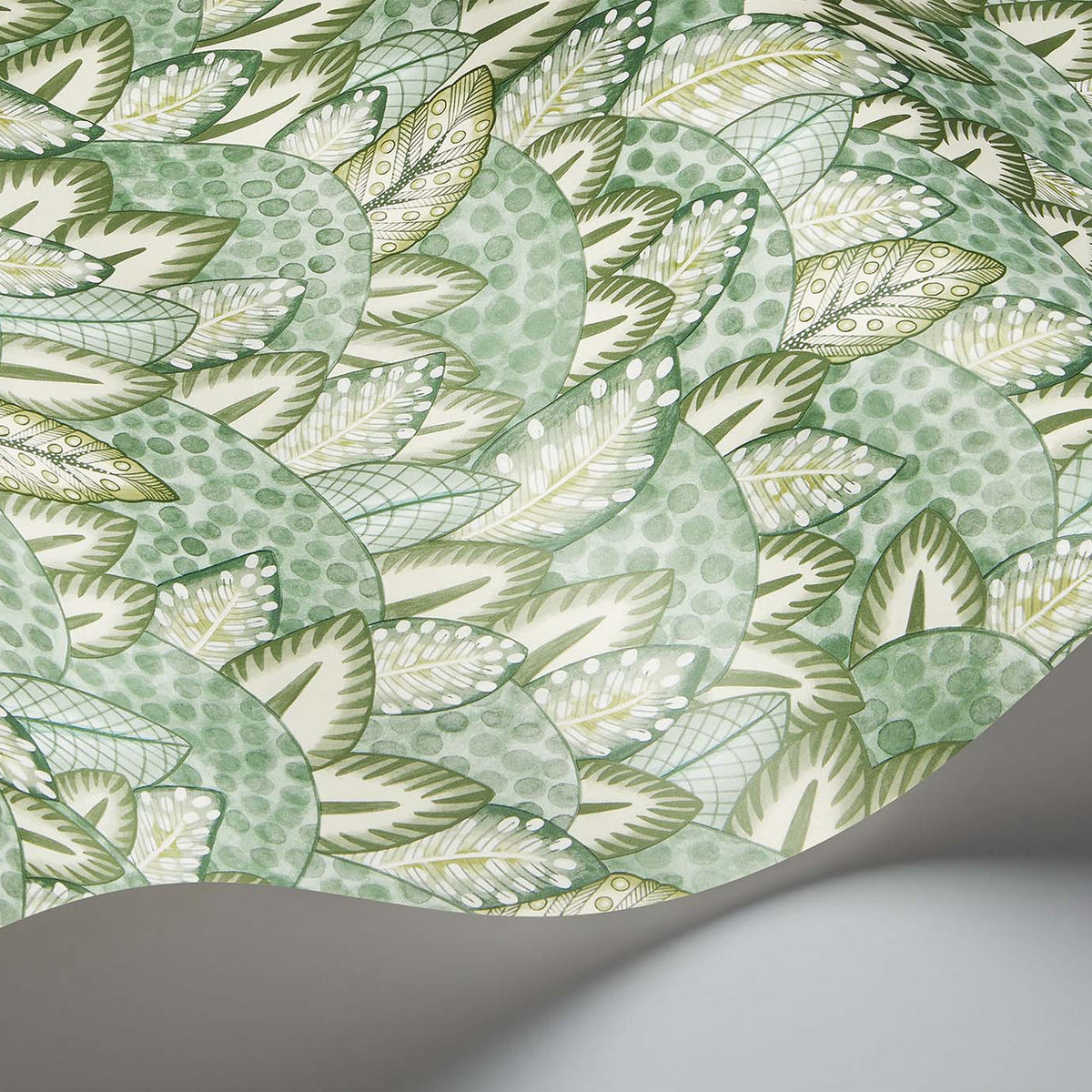 Cole & Son Zulu Terrain wallpaper in Sage & Olive — wallpaper detail