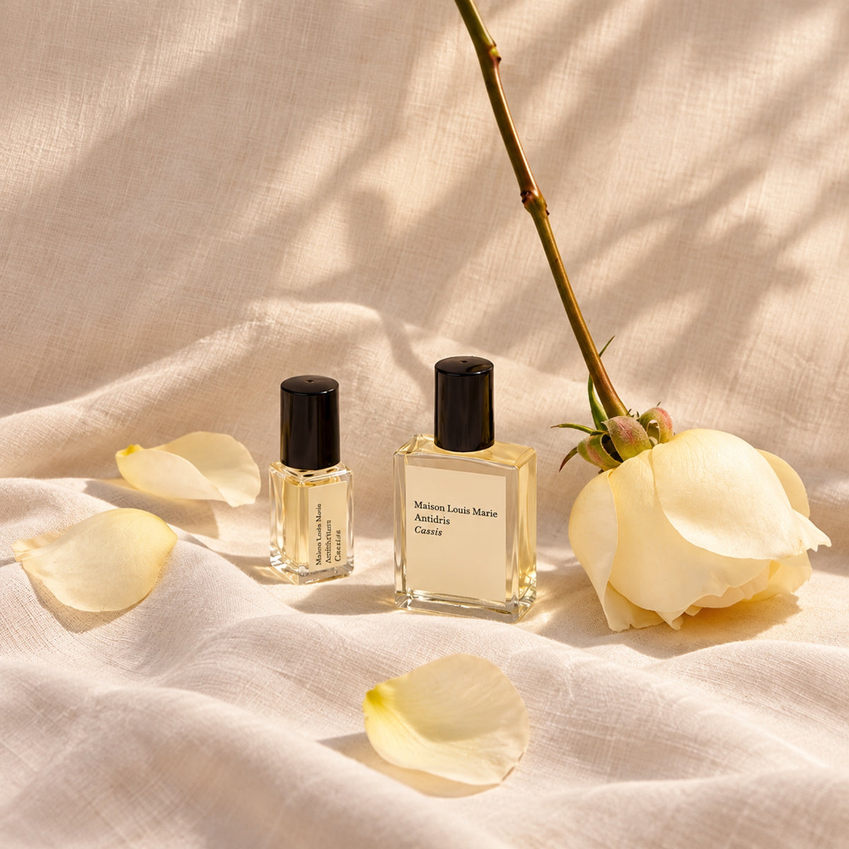 Antidris Cassis Perfume Oil by Maison Louis Marie