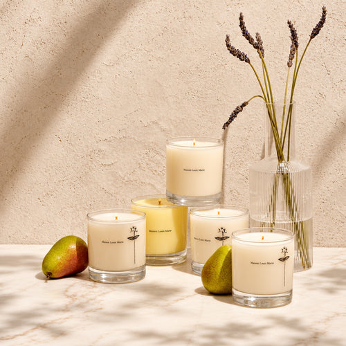 Antidris Cassis Candle by Maison Louis Marie