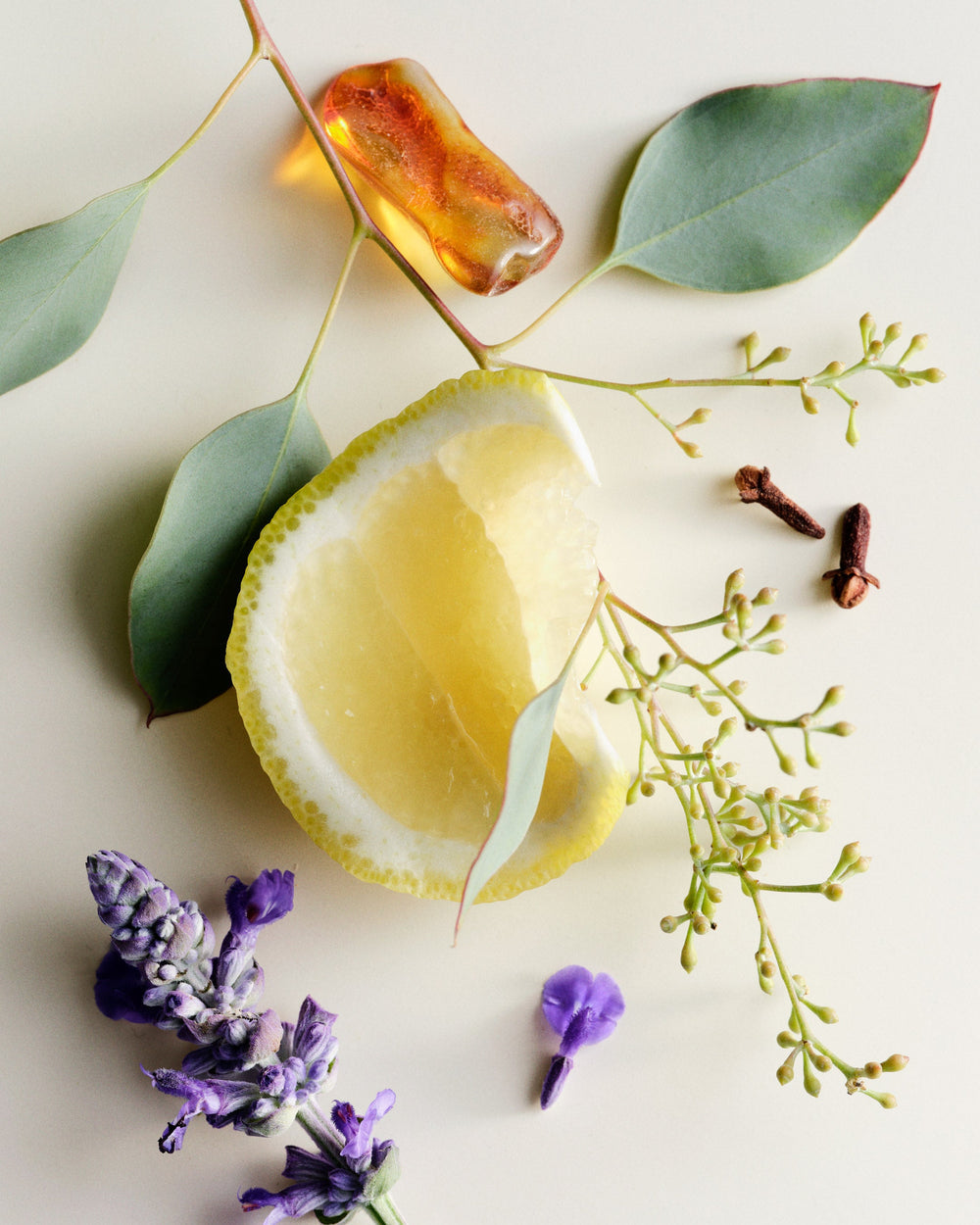 No.10 Aboukir fragrance mood image with citrus peel, eucalyptus, lavender, cloves and amber-colored resin