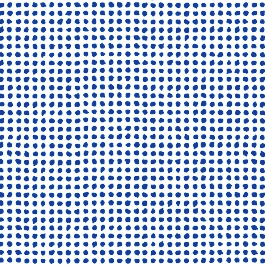 Paola Navone